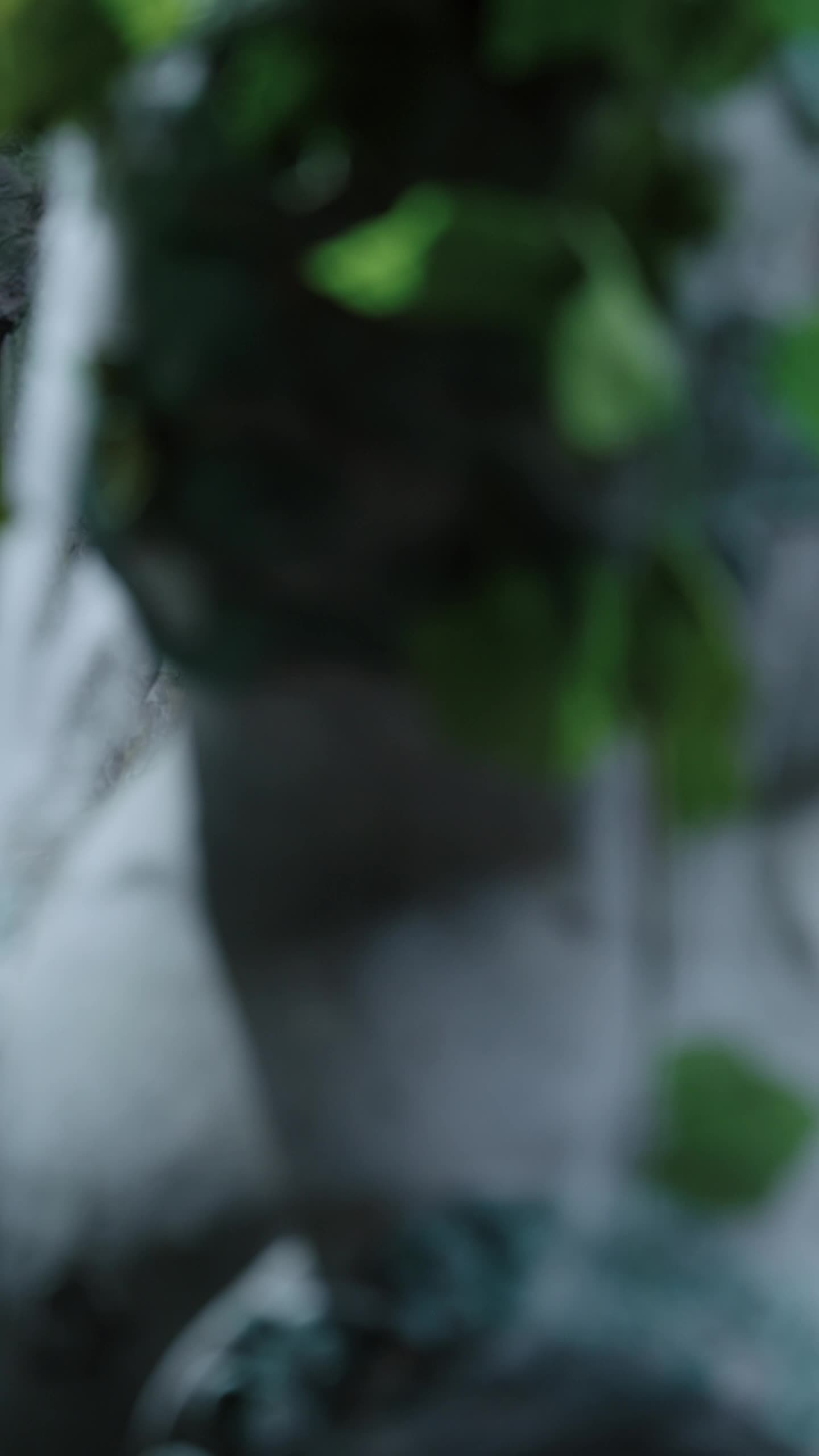 Episodio 13 - El discípulo menor quien tan recto como aterrador